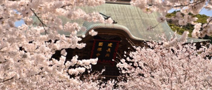 🏛️ 지카마쓰 산 겐쇼 사 (지카마쓰야마 겐쇼지) 이미지 5